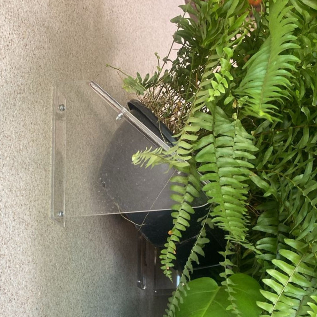 Suporte Módulo Jardim Vertical Transparente Para Vasos de Plantas