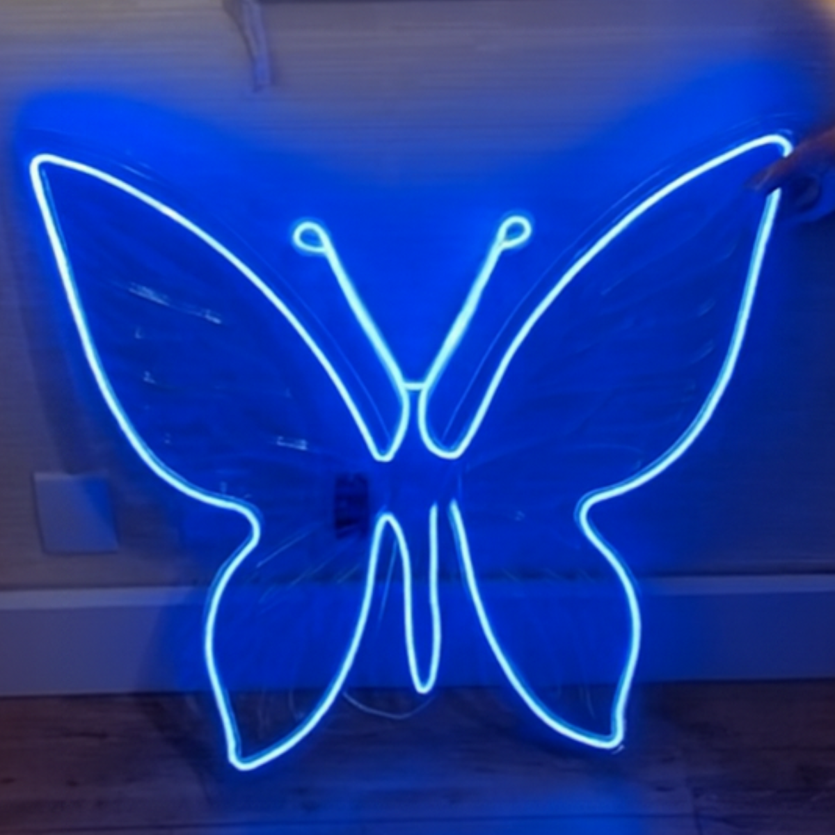 Borboleta Transparente para colocar Led Decorativa Flexível 3D 80x80 cm Gigante